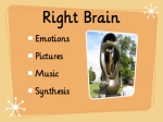 The Right Brain